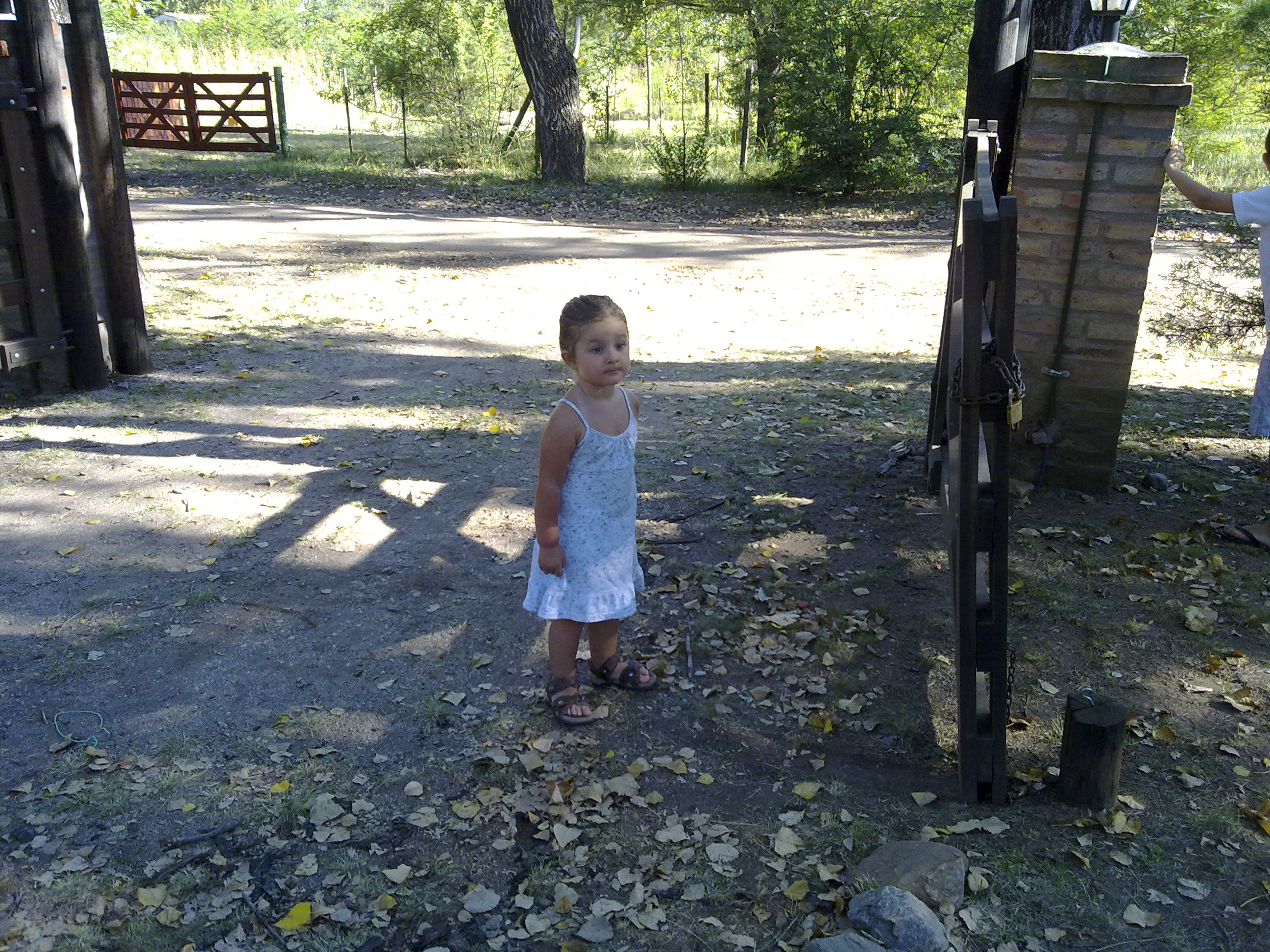 fotos/2011-01-23 - Los reartes/28012010103.jpg